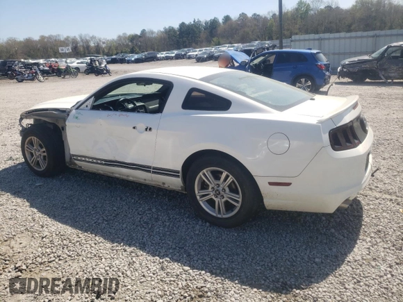 2013 Ford Mustang V6 with VIN 1ZVBP8AM2D5223442, listed as a Copart auction lot 50686485 with 113,422 mi miles and Salvage Title. Bid and sale history available at carsss.com. Image 2.