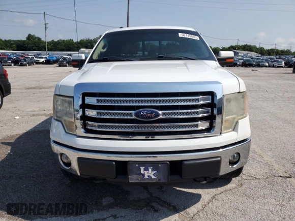 2014 Ford F-150 XL with VIN 1FTFW1EF1EFD10268, listed as a Copart auction lot 60142895 with 120,595 mi miles and Non repairable. Bid and sale history available at DreamBid. Image 5.