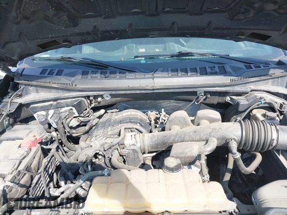 2019 Ford F-150 XL with VIN 1FTEX1EB9KKC09133, listed as a IAAI auction lot 40319582 with 151,728 mi miles. Bid and sale history available at carsss.com. Image 10.