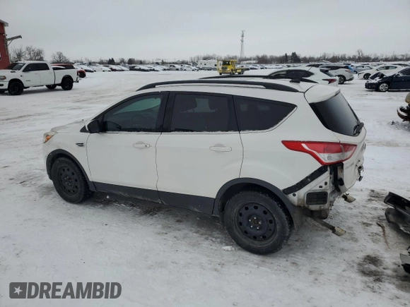 2014 Ford Escape SE with VIN 1FMCU9G99EUD90182, listed as a Copart auction lot 44133645 with 183,122 mi miles and Salvage Title. Bid and sale history available at DreamBid. Image 2.