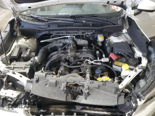 2019 Subaru Forester Premium with VIN JF2SKAEC8KH449783, listed as a Copart auction lot 48060885 with 62,117 mi miles and Salvage Title. Bid and sale history available at carsss.com. Image 12.