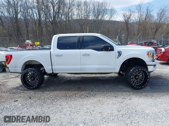 2023 Ford F-150 XL with VIN 1FTEW1C58PKE81292, listed as a IAAI auction lot 41900494 with 34,753 mi miles and . Bid and sale history available at DreamBid. Image 13.