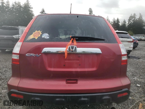 2009 Honda CR-V EX with VIN 5J6RE48539L042412, listed as a Copart auction lot 52133345 with 135,532 mi miles and Salvage Title. Bid and sale history available at carsss.com. Image 6.