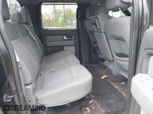 2013 Ford F-150 XL with VIN 1FTFW1EF0DFC53186, listed as a IAAI auction lot 42086254 with 172,075 mi miles. Bid and sale history available at carsss.com. Image 8.