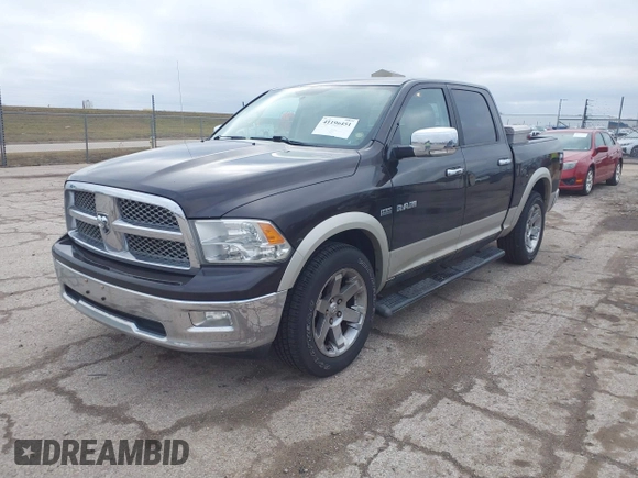 2010 Dodge 1500 SLT with VIN 1D7RV1CT3AS232723, listed as a IAAI auction lot 41196451 with 295,162 mi miles and . Bid and sale history available at DreamBid. Image 17.