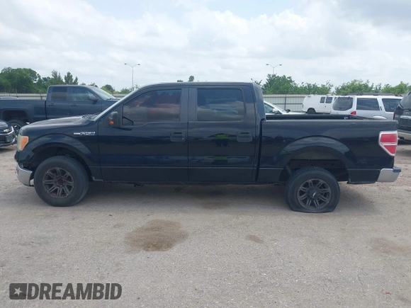 2009 Ford F-150 XL with VIN 1FTRW12819FA40676, listed as a IAAI auction lot 42292855 with Not provided miles and . Bid and sale history available at DreamBid. Image 14.