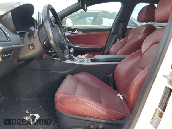 2019 Kia Stinger GT1 with VIN KNAE45LC2K6062123, listed as a Copart auction lot 76540484 with Not Provided miles and Non Repairable. Bid and sale history available at DreamBid. Image 7.