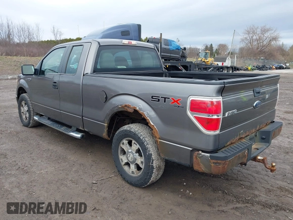 2010 Ford F-150 XL with VIN 1FTEX1E82AFA32002, listed as a IAAI auction lot 41874430 with 264,658 mi miles. Bid and sale history available at carsss.com. Image 3.
