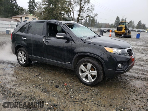 2013 Kia Sorento EX with VIN 5XYKUDA63DG351184, listed as a Copart auction lot 46623205 with 126,102 mi miles and Salvage Title. Bid and sale history available at carsss.com. Image 4.