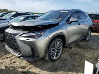 2022 Lexus NX with VIN JTJHKCEZXN2001980, listed as a Copart auction lot 37369644 with 12,262 mi miles. Bid and sale history available at carsss.com. Image 1.