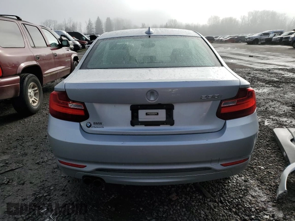 2017 BMW 2 Series 230i with VIN WBA2F9C34HV664704, listed as a Copart auction lot 45347985 with 46,097 mi miles and Salvage title. Bid and sale history available at DreamBid. Image 6.
