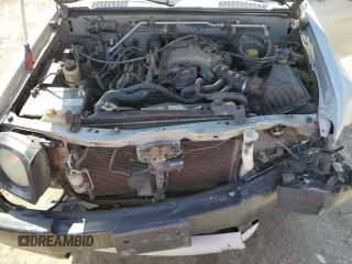 2002 Nissan Xterra XE z VIN 5N1ED28T62C508278, wystawiony jako Copart lot #54058255 z przebiegiem 250 199 mil mil oraz Szkody całkowita. Historia ofert i sprzedaży dostępna na DreamBid. Obrazek 12.