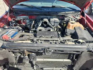 2010 Ford F-150 XL with VIN 1FTFW1EV8AFD41860, listed as a Copart auction lot 61494945 with Not provided miles and Salvage title. Bid and sale history available at DreamBid. Image 11.