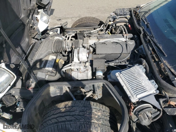 1996 Chevrolet Corvette with VIN 1G1YY22P9T5113317, listed as a Copart auction lot 49695095 with 193,376 mi miles and Clean Title. Bid and sale history available at carsss.com. Image 11.