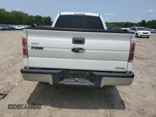 2011 Ford F-150 XL with VIN 1FTEX1CM7BFB14518, listed as a Copart auction lot 59216615 with 163,625 mi miles and Salvage title. Bid and sale history available at DreamBid. Image 6.