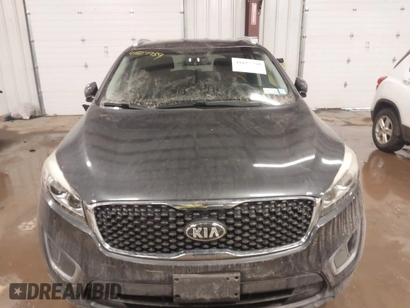 2016 Kia Sorento LX with VIN 5XYPGDA37GG016629, listed as a IAAI auction lot 41627759 with 80,558 mi miles and . Bid and sale history available at DreamBid. Image 13.