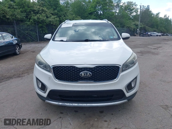 2017 Kia Sorento EX with VIN 5XYPH4A51HG294197, listed as a IAAI auction lot 42198002 with 277,128 mi miles and . Bid and sale history available at carsss.com. Image 6.