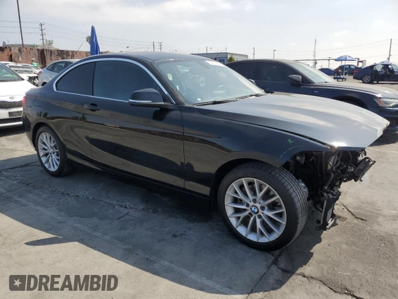 2016 BMW 2 Series 228i with VIN WBA1F9C56GV544978, listed as a Copart auction lot 53974395 with 49,508 mi miles and Salvage title. Bid and sale history available at DreamBid. Image 4.