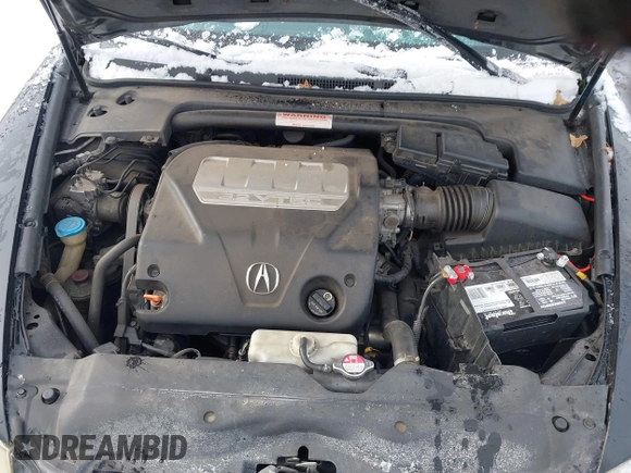 2007 Acura TL with VIN 19UUA66237A024583, listed as a IAAI auction lot 41365833 with 173,081 mi miles. Bid and sale history available at carsss.com. Image 10.