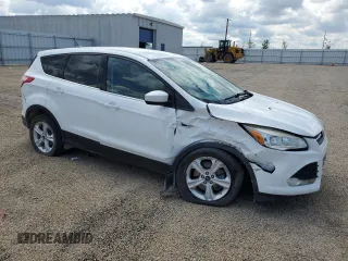 2013 Ford Escape SE with VIN 1FMCU9G96DUD66971, listed as a Copart auction lot 58507505 with 135,866 mi miles and Salvage title. Bid and sale history available at DreamBid. Image 4.