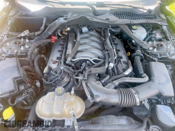 2015 Ford Mustang GT with VIN 1FA6P8CFXF5374945, listed as a Copart auction lot 67069735 with Not provided miles and Clean title. Bid and sale history available at DreamBid. Image 7.