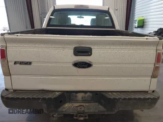 2010 Ford F-150 XL with VIN 1FTEW1E8XAFC98418, listed as a IAAI auction lot 42614159 with Not provided miles and . Bid and sale history available at DreamBid. Image 16.
