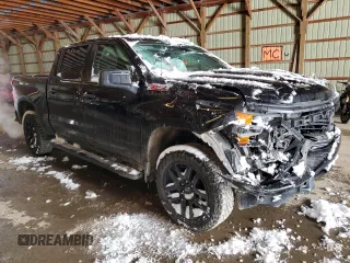 2022 Chevrolet Silverado 1500 Custom Trail Boss with VIN 3GCPDCEK0NG608635, listed as a Copart auction lot 81301514 with 46,289 mi miles and Salvage Title. Bid and sale history available at carsss.com. Image 4.