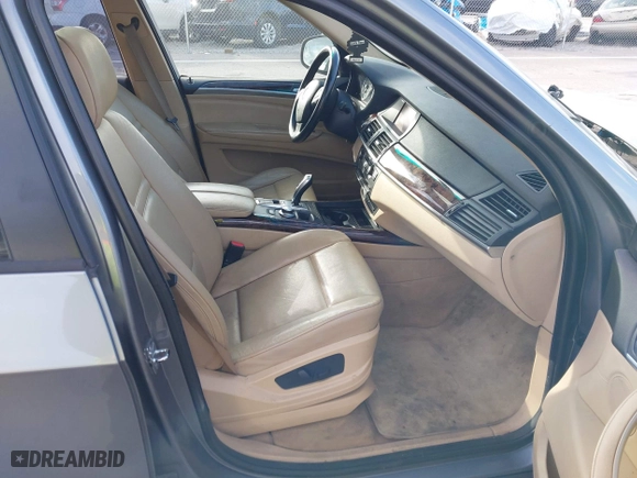 2009 BMW X5 30i with VIN 5UXFE43559L271446, listed as a IAAI auction lot 41232316 with 1 mi miles. Bid and sale history available at carsss.com. Image 5.