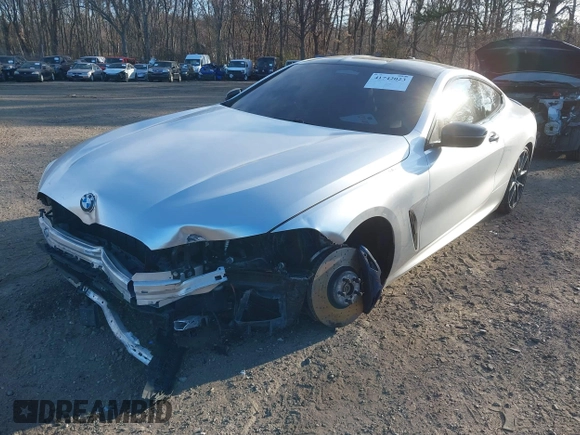 2019 BMW 8 Series M850i xDrive with VIN WBABC4C54KBU95810, listed as a IAAI auction lot 41742023 with 66,901 mi miles and . Bid and sale history available at DreamBid. Image 6.