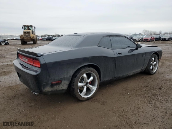 2010 Dodge Challenger R/T with VIN 2B3CJ5DT2AH122661, listed as a Copart auction lot 46820555 with 119,935 mi miles and Salvage Title. Bid and sale history available at carsss.com. Image 3.