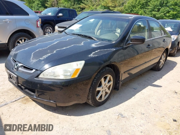 2004 Honda Accord EX с VIN 1HGCM66584A097098, выставлен на аукционе IAAI как лот 42431021 с пробегом 135 143 миль миль и . История ставок и продаж доступна на DreamBid. Изображение 2.