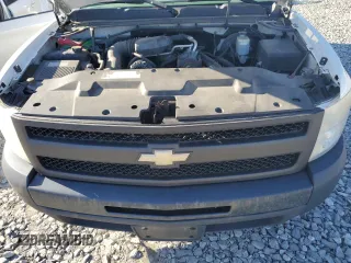 2010 Chevrolet Silverado 1500 Work Truck with VIN 1GCPCPEX7AZ141309, listed as a Copart auction lot 49778965 with 212,893 mi miles and Clean Title. Bid and sale history available at DreamBid. Image 11.