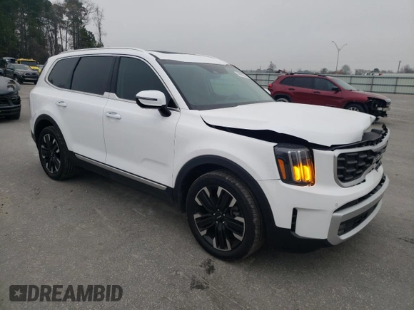 2024 Kia Telluride SX X-Pro with VIN 5XYP5DGC4RG544175, listed as a Copart auction lot 48980245 with 14,624 mi miles and Salvage title. Bid and sale history available at DreamBid. Image 4.