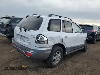 2004 Hyundai Santa Fe GLS with VIN KM8SC13D04U682926, listed as a Copart auction lot 53651575 with 182,317 mi miles and Salvage Title. Bid and sale history available at DreamBid. Image 3.