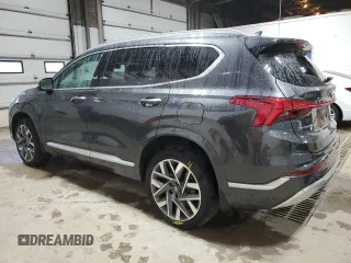 2023 Hyundai Santa Fe Calligraphy with VIN 5NMS5DAL6PH511782, listed as a Copart auction lot 58000945 with 31,566 mi miles and Salvage title. Bid and sale history available at DreamBid. Image 2.
