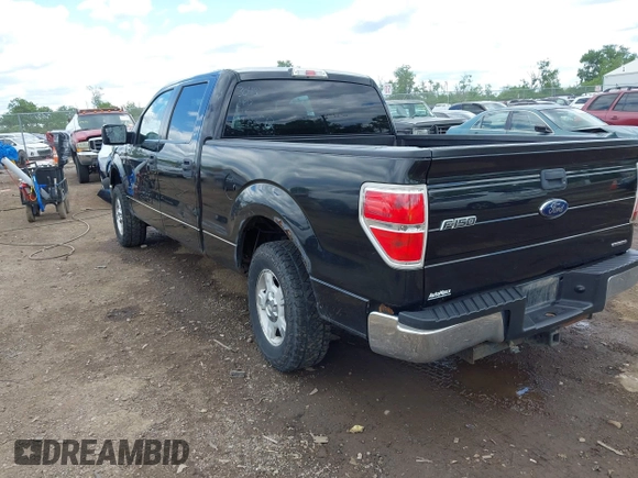 2013 Ford F-150 XL с VIN 1FTFW1EF3DFC14916, выставлен на аукционе IAAI как лот 42343813 с пробегом 217 069 миль миль и . История ставок и продаж доступна на DreamBid. Изображение 3.