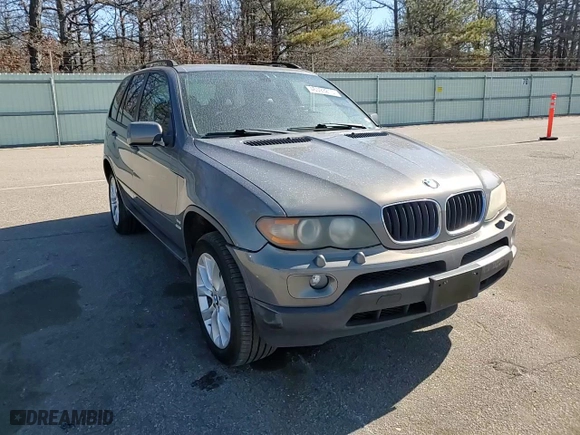 2006 BMW X5 3.0i with VIN 5UXFA13596LY33807, listed as a Copart auction lot 46593215 with 0 mi miles and Salvage Title. Bid and sale history available at carsss.com. Image 12.
