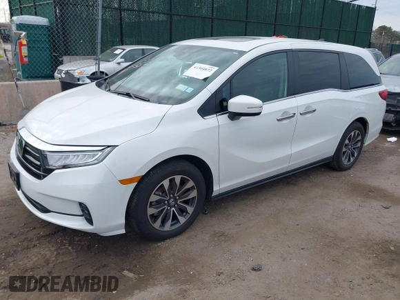 2024 Honda Odyssey EX-L with VIN 5FNRL6H66RB003316, listed as a IAAI auction lot 41304872 with 12,810 mi miles and . Bid and sale history available at DreamBid. Image 2.