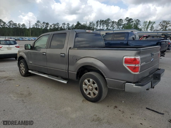 2013 Ford F-150 XL with VIN 1FTFW1CTXDFD75921, listed as a Copart auction lot 51846255 with 251,593 mi miles and Clean Title. Bid and sale history available at carsss.com. Image 2.