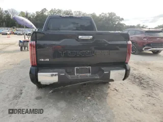 2024 Toyota Tundra 1794 Edition with VIN 5TFMC5DB1RX045003, listed as a Copart auction lot 46123005 with 16,881 mi miles and Salvage title. Bid and sale history available at DreamBid. Image 6.