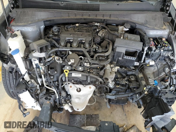 2019 Kia Sorento SX Limited with VIN 5XYPKDA56KG509100, listed as a Copart auction lot 69446214 with Not Provided miles and Salvage Title. Bid and sale history available at carsss.com. Image 12.