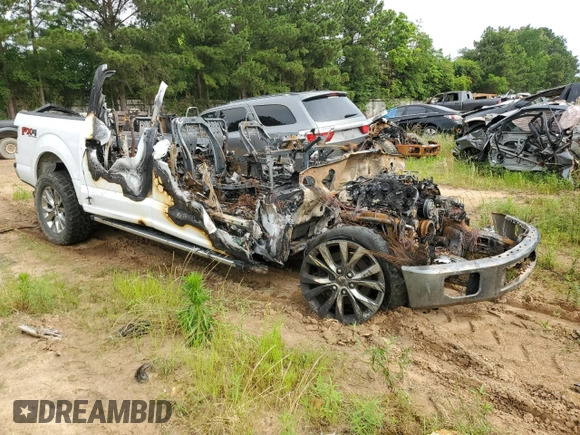 2017 Ford F-150 XL with VIN 1FTEW1EF3HKE49647, listed as a Copart auction lot 56196725 with Not provided miles and Non repairable. Bid and sale history available at DreamBid. Image 4.