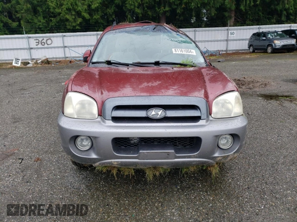 2005 Hyundai Santa Fe GLS with VIN KM8SC73D55U876565, listed as a Copart auction lot 81161004 with 204,205 mi miles and Salvage title. Bid and sale history available at DreamBid. Image 5.