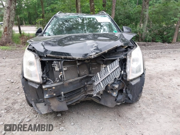 2011 Cadillac SRX Premium Collection with VIN 3GYFNCEY3BS673043, listed as a IAAI auction lot 42499237 with 174,132 mi miles and . Bid and sale history available at DreamBid. Image 12.