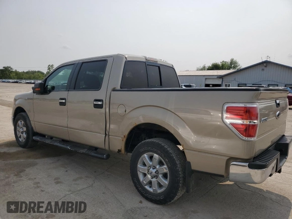 2009 Ford F-150 XL с VIN 1FTRW14889KC61289, выставлен на аукционе Copart как лот 58692615 с пробегом 127 315 миль миль и Списание • Salvage title. История ставок и продаж доступна на DreamBid. Изображение 2.