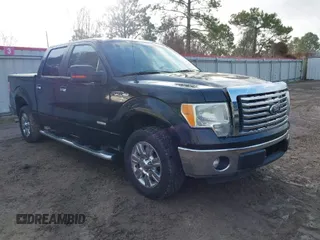 2011 Ford F-150 XLT with VIN 1FTFW1CTXBFB60746, listed as a IAAI auction lot 41423367 with 143,437 mi miles. Bid and sale history available at carsss.com. Image 1.