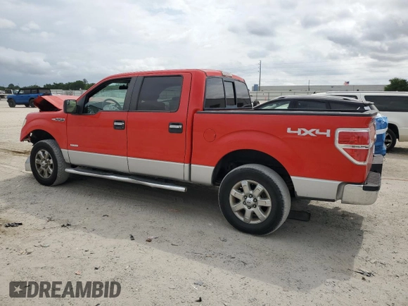2013 Ford F-150 XL with VIN 1FTFW1ET2DFB96186, listed as a Copart auction lot 54178405 with 211,232 mi miles and Salvage Title. Bid and sale history available at carsss.com. Image 2.