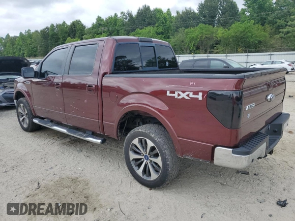 2009 Ford F-150 XL with VIN 1FTPW14V49FA35949, listed as a Copart auction lot 55382805 with 160,445 mi miles and Salvage title. Bid and sale history available at DreamBid. Image 2.