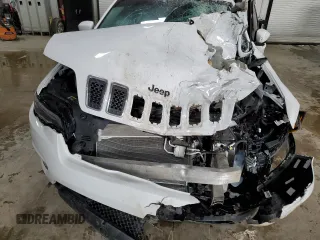 2019 Jeep Cherokee Limited with VIN 1C4PJMDX1KD441190, listed as a Copart auction lot 53038705 with Not Provided miles and Salvage Title. Bid and sale history available at DreamBid. Image 12.