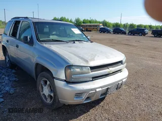 2008 Chevrolet TrailBlazer 3LT with VIN 1GNDT13S982126831, listed as a IAAI auction lot 40521069 with Not Provided miles and . Bid and sale history available at DreamBid. Image 1.